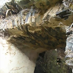 DSCN2822