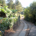 DSCN7175