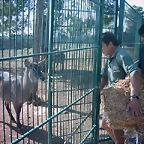 PIC04882