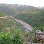 DSCN1903
