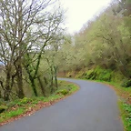39-IMG_4543 - copia