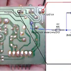 buzzer-damian
