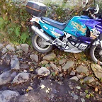 DSCN9145