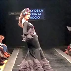 Pasarela 15-2-2015 (2)