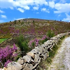 45-IMG_5756