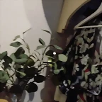 Video Mar?a IG Stories 22-11-2019 (3)