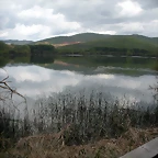 DSCN6171