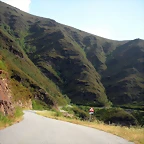 DSCN5987