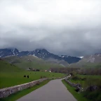 DSCN4332