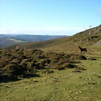 DSCN9090