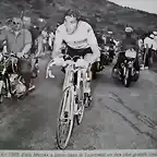 merckx tourmalet