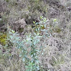 IMG_20210106_164402