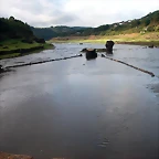 DSCN5403