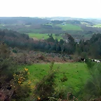 DSCN6084