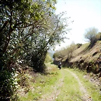 DSCN4494