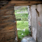 DSCN5170