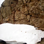 DSCN4865