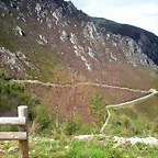 DSCN4406