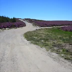 084-Imagen 090