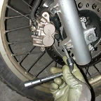 DSCN5231