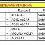 cuadrobenjavoley25-1