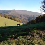 DSCN9503