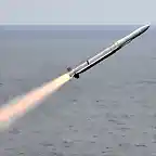 RIM-162 Evolved Sea Sparrow Missile (ESSM)