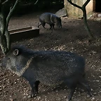 La Barben febrer 2011 1222