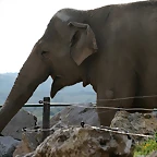 La Barben febrer 2011 1314