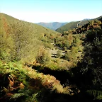 DSCN8035