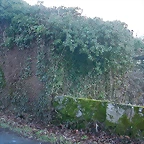 DSCN7192