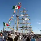 Regata Bicentenario 2010_3