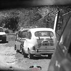 CAS_3532