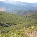 DSCN6235
