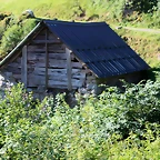 IMG_6722