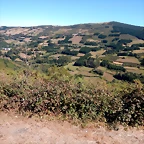DSCN0263