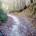 DSCN7197