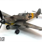 bf106g-6 (23)