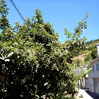 DSCN3926