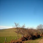 DSCN2956
