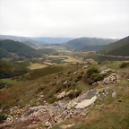 DSCN6654