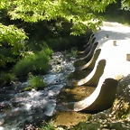 DSCN6596