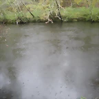 DSCN4168