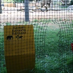 Zoo de Barcelona de 01-09-10 a 03-09-10 333
