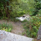 DSCN9264