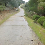 P1030026
