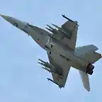 F-18 Super Hornet de la US Navy