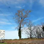 DSCN1963