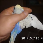 CIMG0284