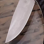 20181228_020630